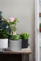 Mica Decorations Era Bloempot - H14,5 x Ø17,5 cm - Mat - Lichtgrijs