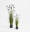 Mica Decorations Era Bloempot - H17,5 x Ø19,5 cm - Mat - Donkergrijs