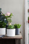 Mica Decorations Era Bloempot - H17,5 x Ø19,5 cm - Mat - Grijs