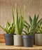 Mica Decorations Era Bloempot - H21,5 x Ø23 cm - Reliëf - Taupe