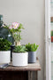 Mica Decorations Era Bloempot - H21,5 x Ø23 cm - Wit
