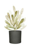 Mica Decorations Era Bloempot - H26 x Ø28 cm - Ruw - Donkergrijs