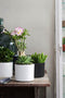 Mica Decorations Era Bloempot - H26 x Ø28 cm - Ruw - Donkergrijs