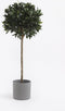 Mica Decorations Era Bloempot - H26 x Ø28 cm - Ruw - Grijs