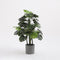 Mica Decorations Era Bloempot - H31 x Ø32,5 cm - Ruw - Grijs