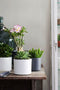 Mica Decorations Era Bloempot - H31 x Ø32,5 cm - Ruw - Grijs