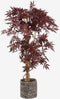 Mica Decorations Esdoorn Kunstplant - H140 x Ø80 cm - rood