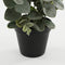 Mica Decorations Eucalyptus Kunstplant in Bloempot - H53 x Ø23 cm - Groen