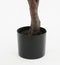 Mica Decorations Eucalyptus Kunstplant in Bloempot - H95 x Ø55 cm - Groen