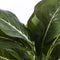 Mica Decorations Evergreen Kunstplant in Bloempot Stan - H49 x Ø40 cm - Groen