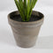 Mica Decorations Evergreen Kunstplant in Bloempot Stan - H49 x Ø40 cm - Groen