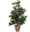 Mica Decorations Ficus Exotica Kunstplant in Bloempot Stan - H60 x Ø35 cm - Groen