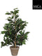 Mica Decorations Ficus Exotica Kunstplant in Bloempot Stan - H60 x Ø35 cm - Groen