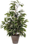 Mica Decorations Ficus Exotica Kunstplant in Bloempot Stan - H60 x Ø35 cm - Groen Bont