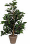 Mica Decorations Ficus Exotica Kunstplant in Bloempot Stan - H60 x Ø35 cm - Groen
