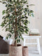 Mica Decorations Ficus Kunstplant - H110 x Ø70 cm - Groen Bont