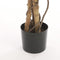Mica Decorations Ficus Kunstplant - H110 x Ø70 cm - Groen Bont