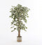 Mica Decorations Ficus Kunstplant - H150 x Ø75 cm - Groen Bont