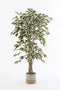 Mica Decorations Ficus Kunstplant - H150 x Ø75 cm - Groen Bont