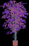 Mica Decorations Ficus Kunstplant - H150 x Ø85 cm - Groen