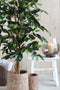 Mica Decorations Ficus Kunstplant - H150 x Ø85 cm - Groen