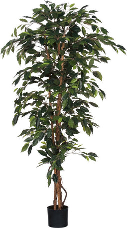 Mica Decorations Ficus Kunstplant - H180 x Ø100 cm - groen