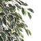 Mica Decorations Ficus Kunstplant - H180 x Ø90 cm - Groen Bont