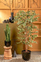 Mica Decorations Ficus Kunstplant - H180 x Ø90 cm - Groen Bont
