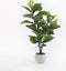 Mica Decorations Ficus Lyrata Kunstplant - H120 x Ø60 cm - Groen