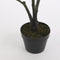 Mica Decorations Ficus Lyrata Kunstplant - H120 x Ø60 cm - Groen