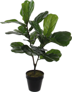 Mica Decorations Ficus Lyrata Kunstplant - H75 x Ø60 cm - Groen