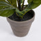 Mica Decorations Ficus Lyrata Kunstplant in Bloempot Stan - H35 x Ø45 cm - Groen Bont