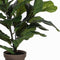 Mica Decorations Ficus Lyrata Kunstplant in Bloempot Stan - H35 x Ø45 cm - Groen Bont
