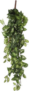 Mica Decorations Fittonia Kunst Hangplant - L15 x B30 x H80 cm - Groen