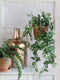 Mica Decorations Fittonia Kunst Hangplant - L15 x B30 x H80 cm - Groen