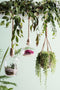 Mica Decorations Fittonia Kunst Hangplant - L15 x B30 x H80 cm - Groen