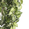 Mica Decorations Fittonia Kunst Hangplant - L15 x B30 x H80 cm - Groen