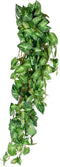 Mica Decorations Fittonia Kunst Hangplant - L15 x B30 x H80 cm - Groen