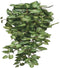 Mica Decorations Fittonia Kunst Hangplant - L15 x B30 x H80 cm - Groen