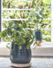 Mica Decorations Floyd Bloempot - H23,5 x Ø28 cm - Groen