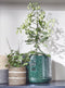 Mica Decorations Floyd Bloempot - H23,5 x Ø28 cm - Groen