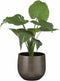 Mica Decorations Gabriel Bloempot - H16 x Ø18 cm - Keramiek - Grijs