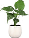 Mica Decorations Gabriel Bloempot - H20 x Ø25 cm - Keramiek - Wit