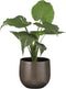 Mica Decorations Gabriel Bloempot - H25 x Ø29 cm - Keramiek - Grijs