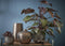 Mica Decorations Gabriel Vaas - H60 x Ø24 cm - Keramiek - Brons