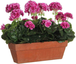 Mica Decorations Geranium Balkonbak - 39x13x40 cm - Terra - Paars