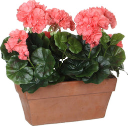 Mica Decorations Geranium Kunstplant in Balkonbak - L29 x B13 x H40 cm - Zalmroze