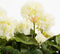 Mica Decorations Geranium Kunstplant in Balkonbak - L29 x B13 x H40 cm - Wit