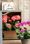 Mica Decorations Geranium Kunstplant in Balkonbak - L29 x B13 x H40 cm - Zalmroze
