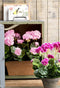 Mica Decorations Geranium Kunstplant in Balkonbak - L29 x B13 x H40 cm - Roze